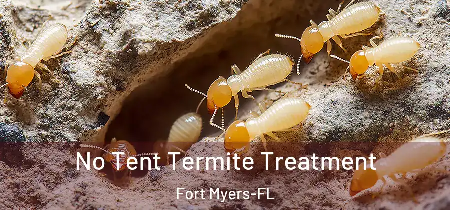  No Tent Termite Treatment Fort Myers-FL