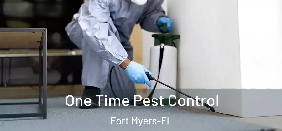  One Time Pest Control Fort Myers-FL