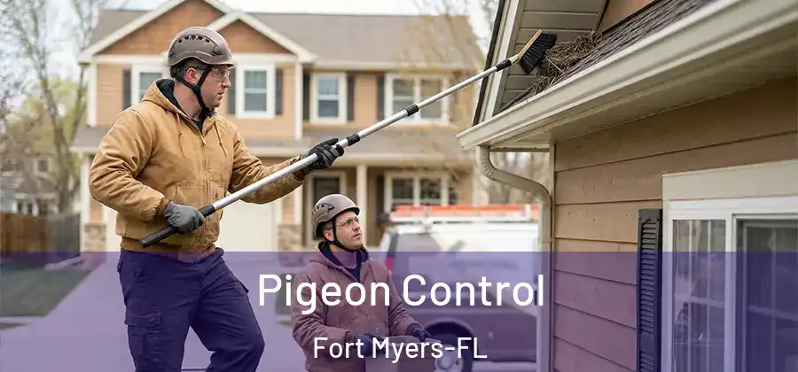  Pigeon Control Fort Myers-FL