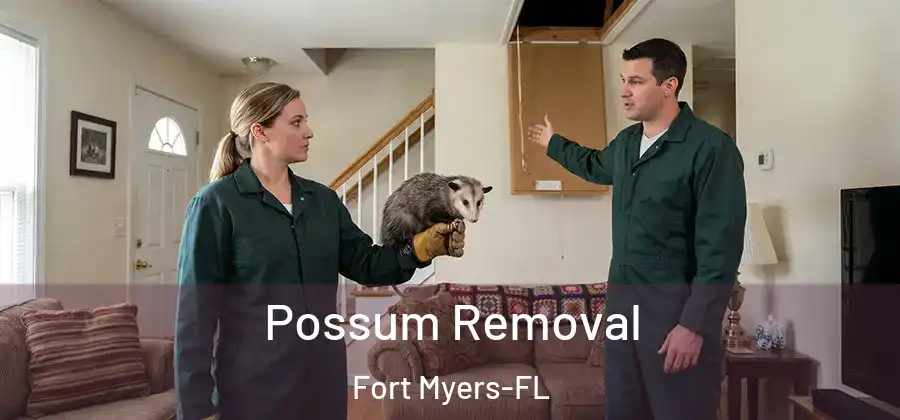  Possum Removal Fort Myers-FL