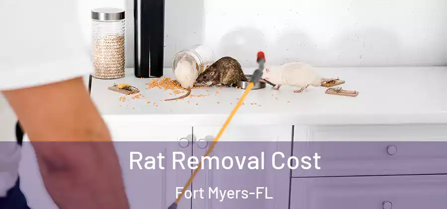  Rat Removal Cost Fort Myers-FL