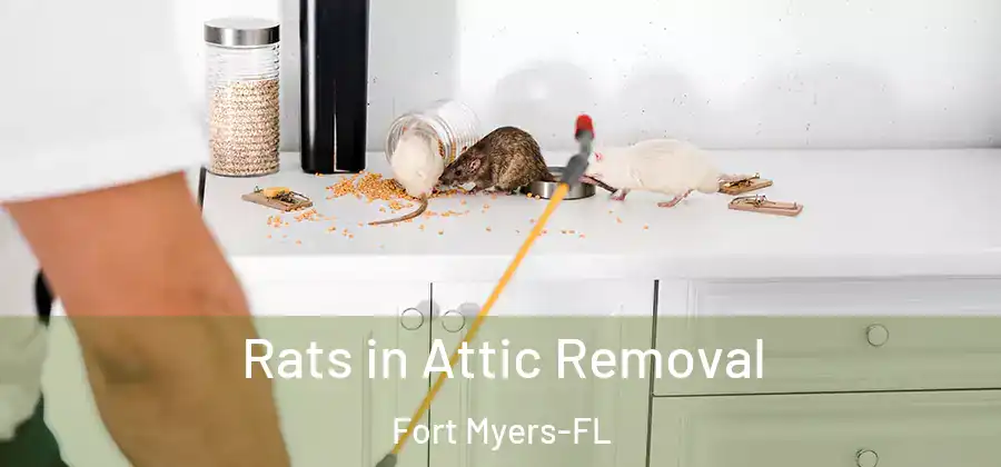 Rats in Attic Removal Fort Myers-FL
