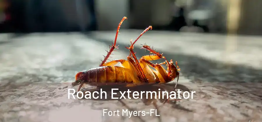 Roach Exterminator Fort Myers-FL