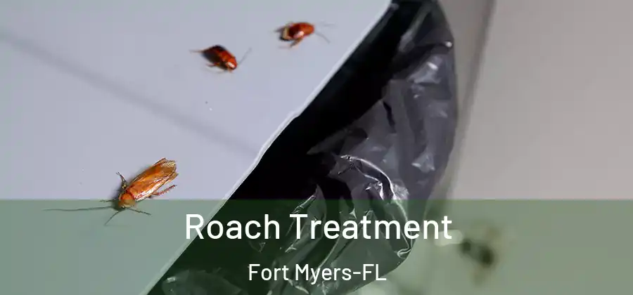 Roach Treatment Fort Myers-FL