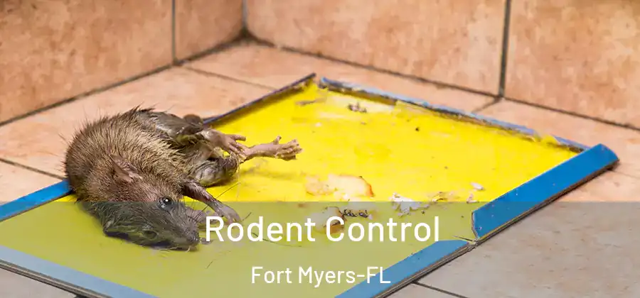 Rodent Control Fort Myers-FL