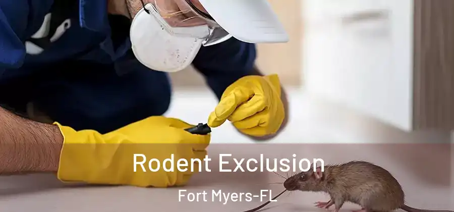  Rodent Exclusion Fort Myers-FL