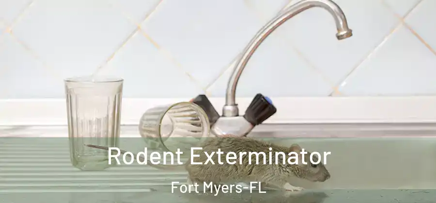 Rodent Exterminator Fort Myers-FL