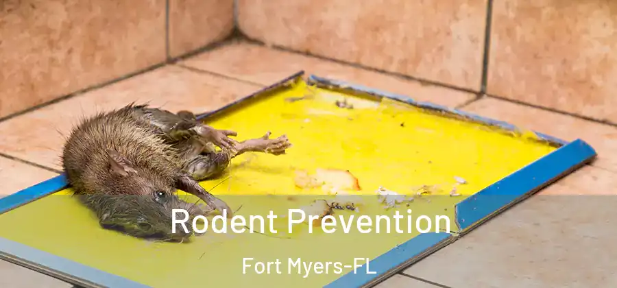  Rodent Prevention Fort Myers-FL