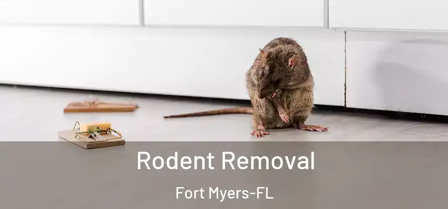  Rodent Removal Fort Myers-FL