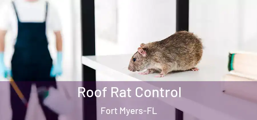 Roof Rat Control Fort Myers-FL