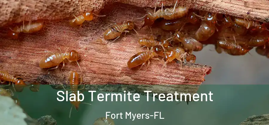 Slab Termite Treatment Fort Myers-FL