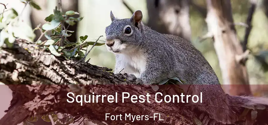  Squirrel Pest Control Fort Myers-FL