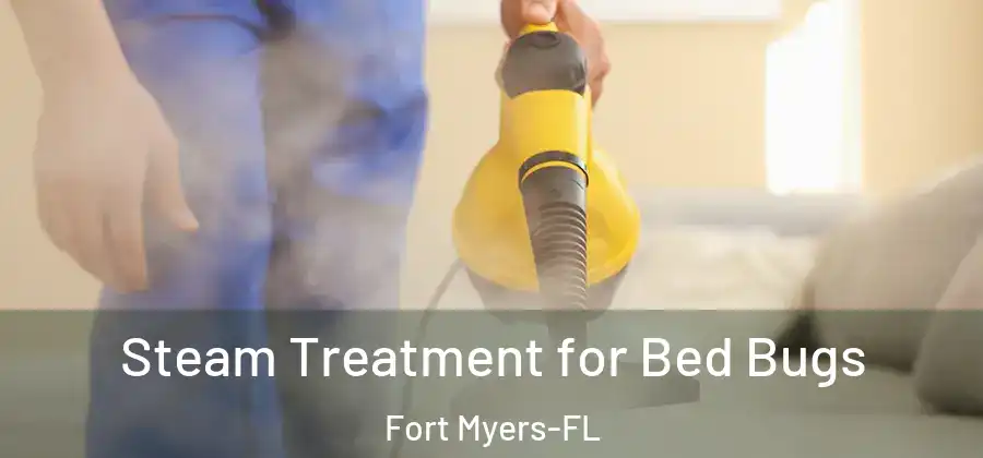 Steam Treatment for Bed Bugs Fort Myers-FL