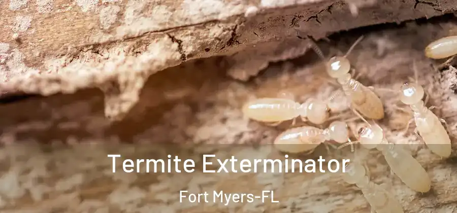  Termite Exterminator Fort Myers-FL