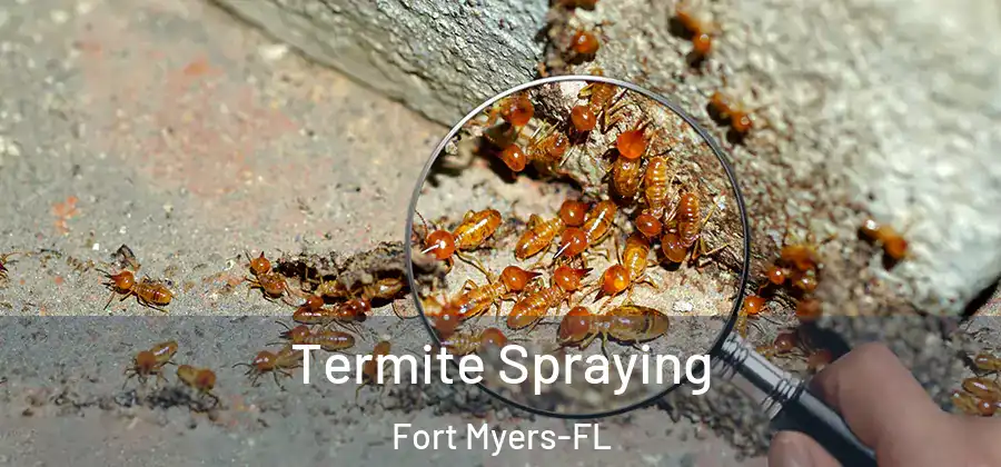  Termite Spraying Fort Myers-FL