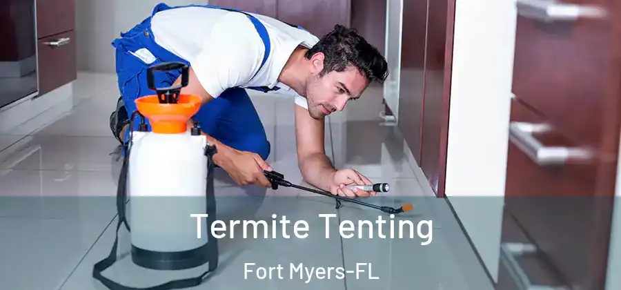 Termite Tenting Fort Myers-FL