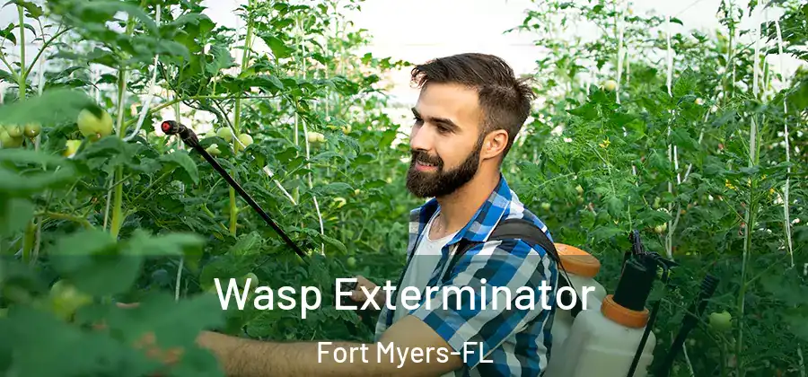  Wasp Exterminator Fort Myers-FL