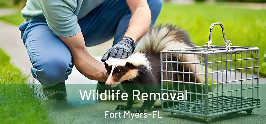Wildlife Removal Fort Myers-FL