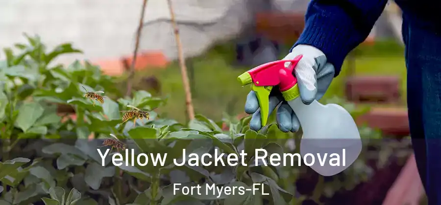  Yellow Jacket Removal Fort Myers-FL